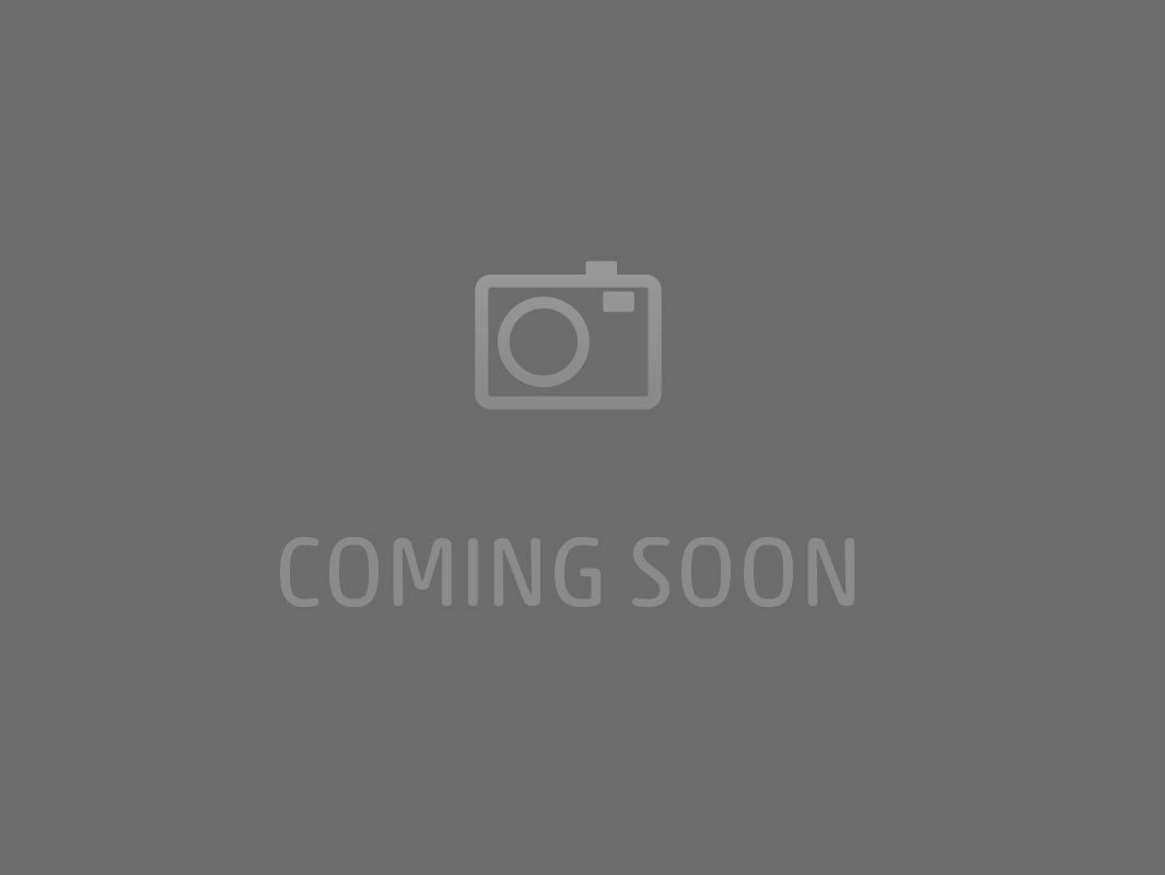 Alexander - Chef/Owner